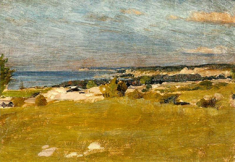 johan krouthen gotlansk strand,